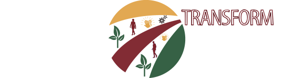logo 3 couleurs